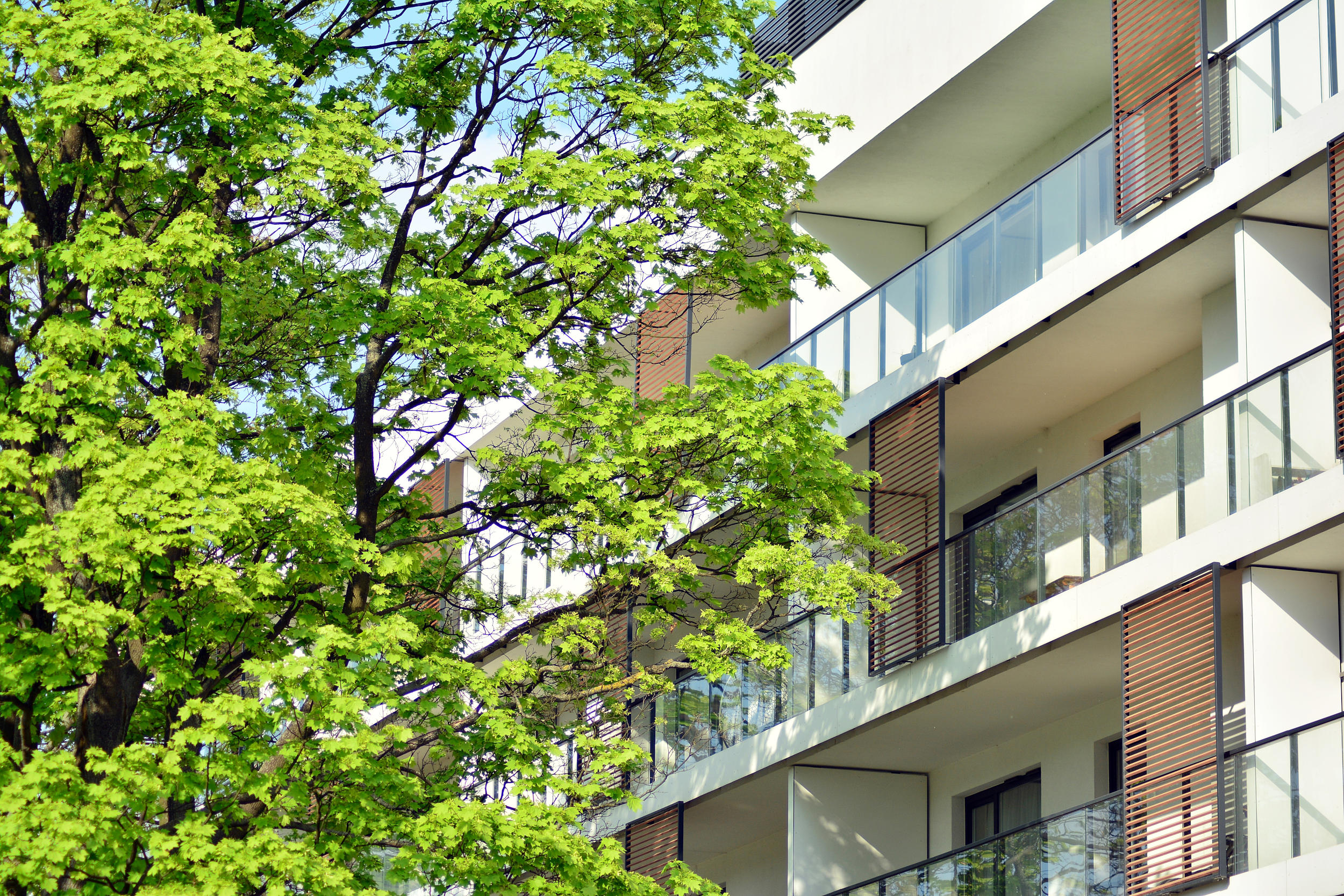 KfW Förderung für die Sanierung zu einem Effizienzhaus